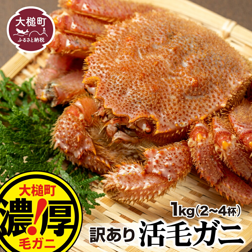 【ふるさと納税】【令和8年発送】※訳あり※ 活毛ガニ 1～10kg 天然 毛蟹 冷蔵 発送 新鮮 活かに<br> ≪ 2026年 2月～4月発送≫ 期間限定 岩手県大槌町 三陸 いわて iwate