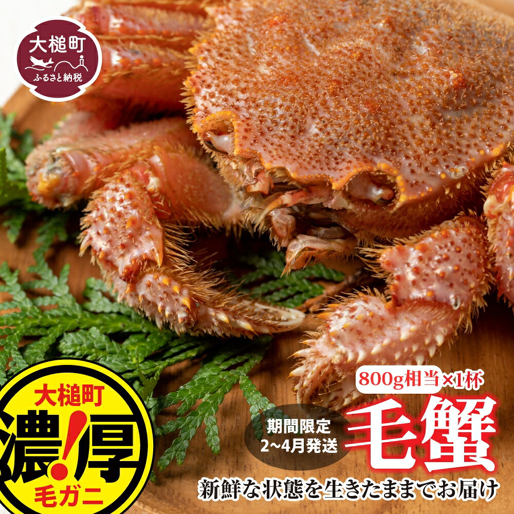 【ふるさと納税】【令和9年発送先行予約】三陸産！活毛ガニ 800g&times;1杯 【2027年2月～4月発送】【08】毛 ガニ 活 毛ガニ 三陸 三陸産 毛ガニ 蟹 カニ ジャンボ 海鮮 魚介 かにみそ 贅沢 海鮮 寿司 ちらし 毛蟹 毛かに 毛カニ かに ガニ がに 活ガニ 活がに 活蟹 毛蟹 濃厚｜岩手県大槌町　ふるさと納税