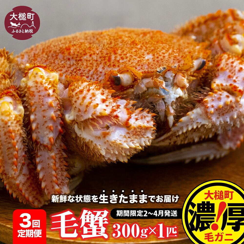 【ふるさと納税】【令和9年発送】【3回定期便】活毛ガニ セット (300g×1~2杯) (400g×1~2杯) (500g×1杯) ≪2027年2月~4月発送≫ 期間限定 冷蔵 三陸産 海産物 蟹 活 毛ガニ 毛がに 蟹 カニ ジャンボ 魚介 かにみそ 毛カニ 活ガニ 活蟹 毛蟹 先行予約 濃厚 毛がに|岩手県大槌町 ふるさと納税