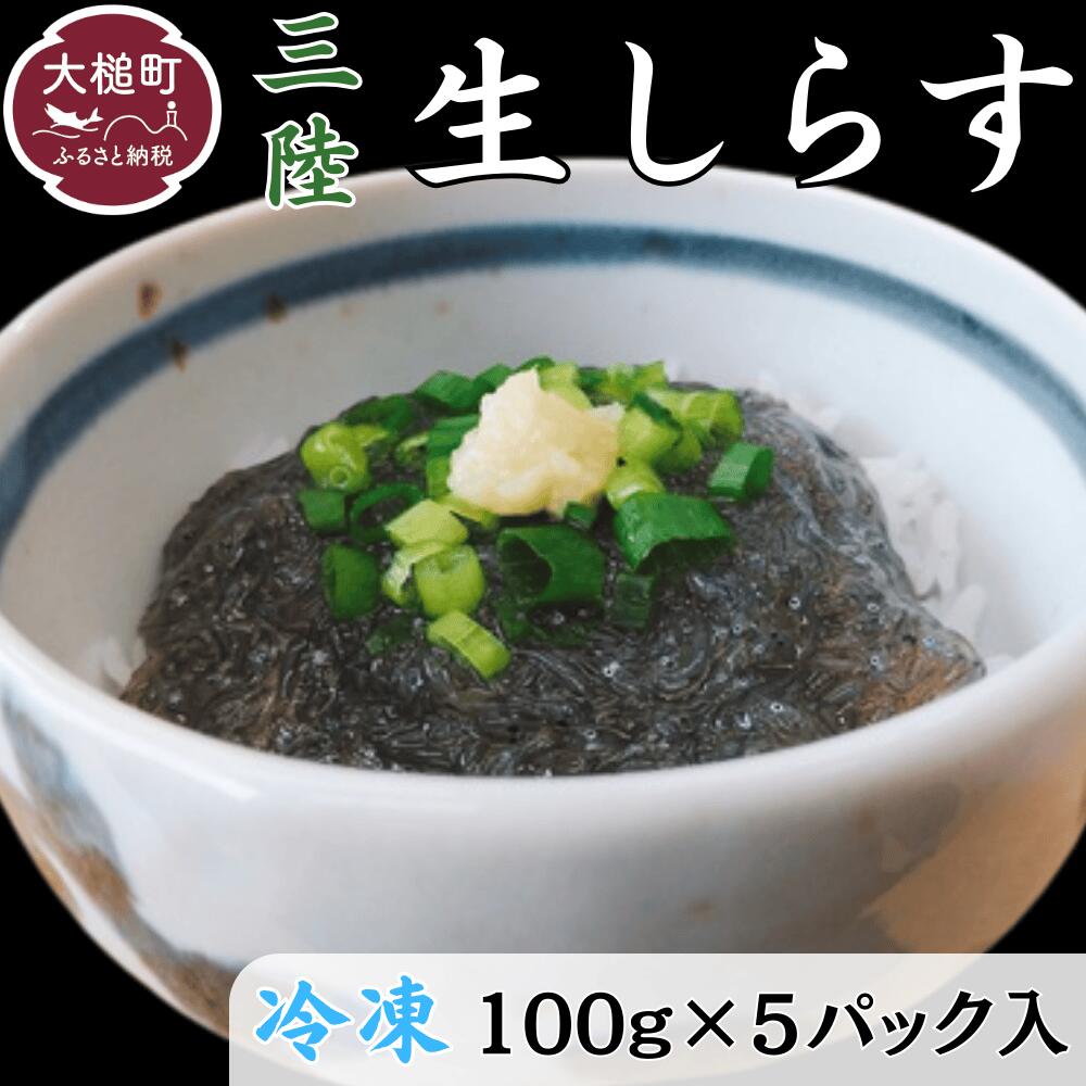 【ふるさと納税】三陸冷凍生しらす(100g×5パック入)