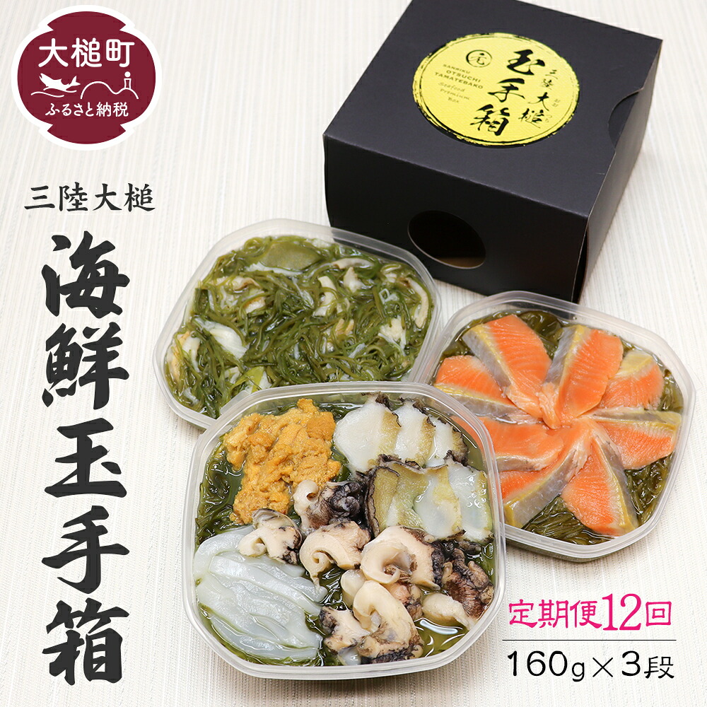 【ふるさと納税】12回定期便 ご贈答 三陸 玉手箱 計480g前後 ( 160g前後 &times;3段 ) 計12回お届け おせち 人気 冷凍 小分け 食べきり 化粧箱 熨斗 のし お取り寄せ ギフト 海宝 味付 漬 ぶっかけ 海鮮丼 どんぶり ドン 大槌サーモン あわび ホタテ 岩手 いわて iwate｜岩手県大槌町　ふるさと納税