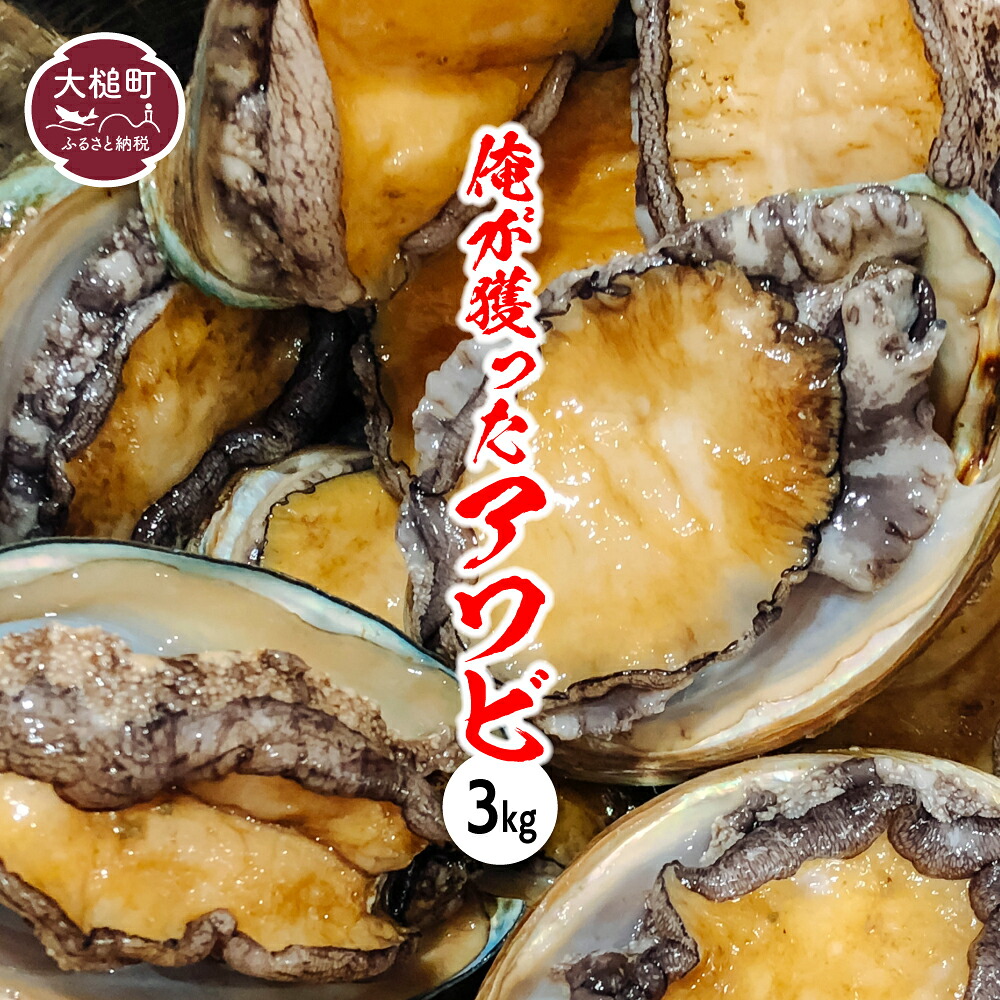 【ふるさと納税】【2026年11月～12月発送】 | 予約受付中！アワビ3kg (20個前後) / アワビ5kg（35個前後）※アワビヘラ＆軍手付き