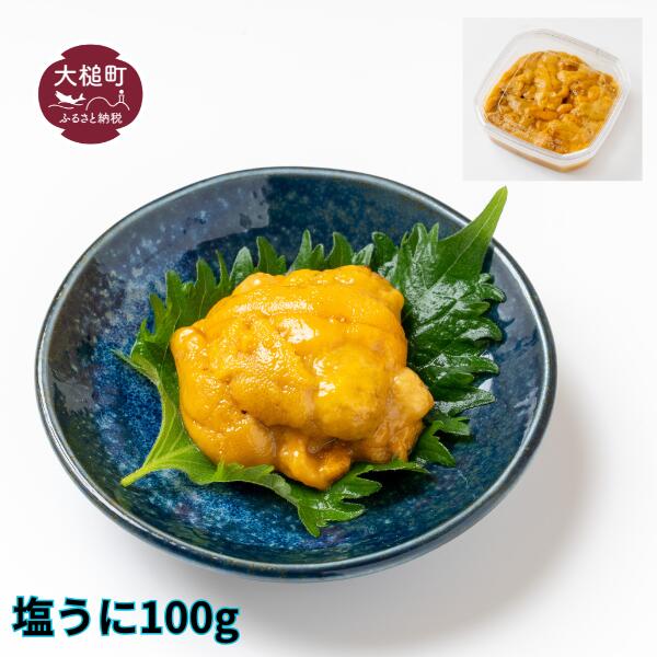 【ふるさと納税】塩うに 100g 雲丹 うに 三陸産 大槌産 国産 オリジナル 汐ウニ｜岩手県大槌町　ふるさと納税