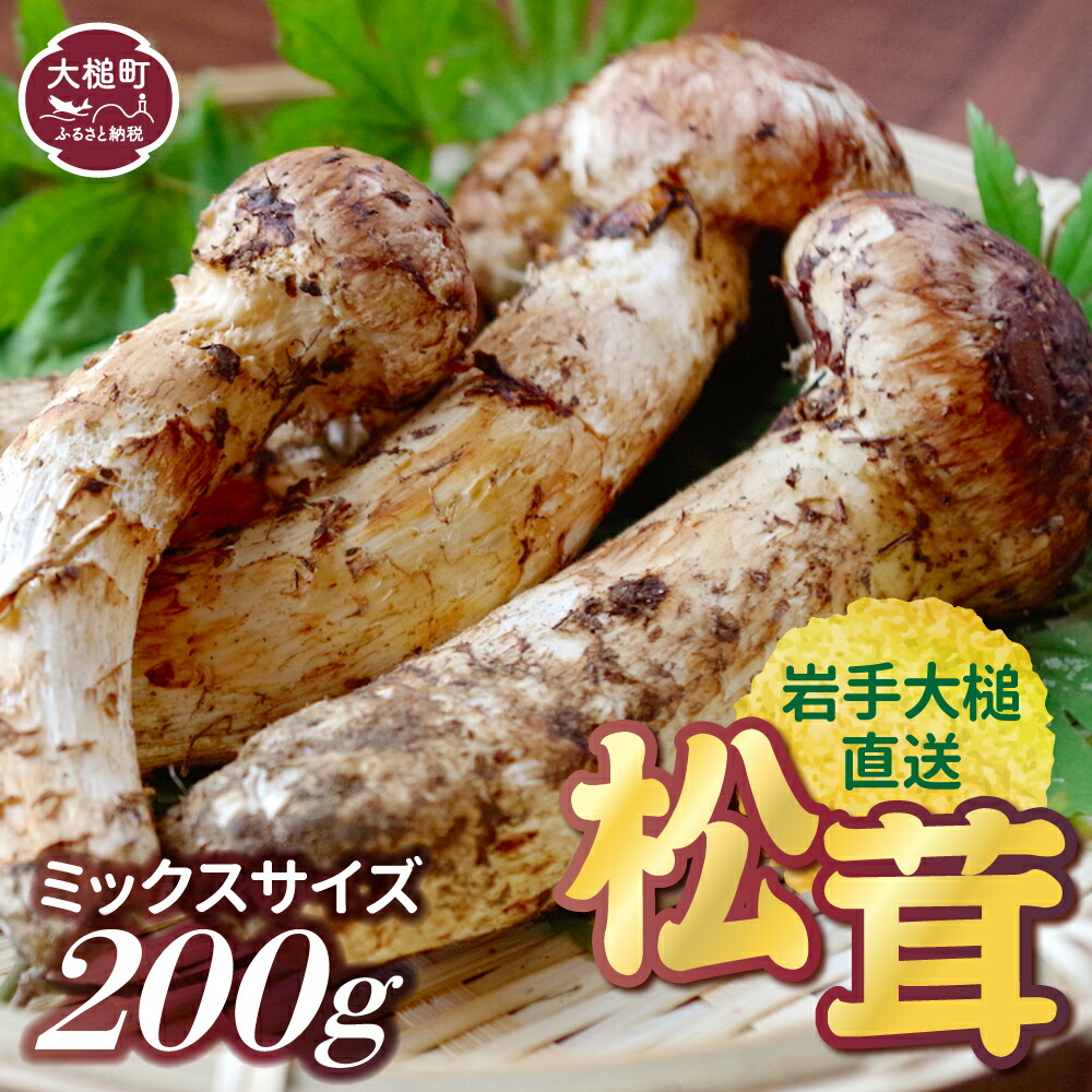 【ふるさと納税】《先行予約》【令和7年10月より発送】松茸 200g 岩手 県 産 国産 ミックス サイズ まつたけ 岩手県大槌町<br>天然 期間限定 季節限定 産地直送 希少 秋 山の幸 きのこ キノコ ご飯 土瓶 蒸し 送料無料 国内産 いわて iwate