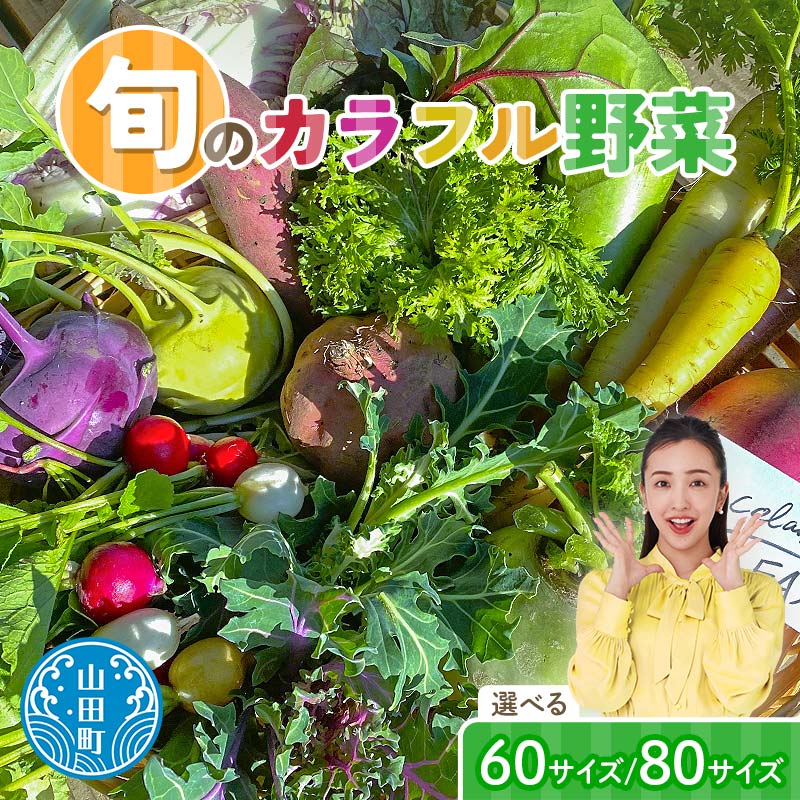 【ふるさと納税】三陸山田産 カラフル 野菜 【2026年5月中旬～発送】 ニンジン ピーマン トマト かぼちゃ じゃがいも ほうれん草 白菜 ニンニク 春菊 さつまいも 詰合せ お弁当 新鮮野菜 岩手県 山田町 YD-1017var