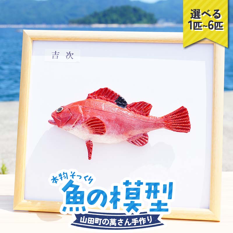 【ふるさと納税】【忠実に再現！】萬さん 手作り 本物そっくり 魚 模型 1点 2点 6点 岩手県 三陸 三陸山田産 山田町 山田湾 工芸品 職人 匠 カレイ ヒラメ YD-935var 31,200円