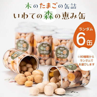 【ふるさと納税】「いわての森の恵み缶」ランダム6缶set　“木のたまごコロロ”【1419721】
