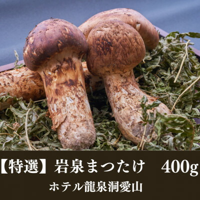 【ふるさと納税】【2026秋発送】≪特選≫　岩泉まつたけ 400g　天然【配送不可地域：離島】【1423706】