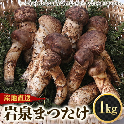 【ふるさと納税】【2026秋発送】≪産地直送≫　岩泉まつたけ 1kg【配送不可地域：離島】【1423716】｜岩手県岩泉町