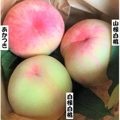 【ふるさと納税】【2026年7月下旬より順次発送】岩手県岩泉町産 桃2品種 食べくらべセット(1.5キロ)【配送不可地域:離島】【1740705】|岩手県岩泉町