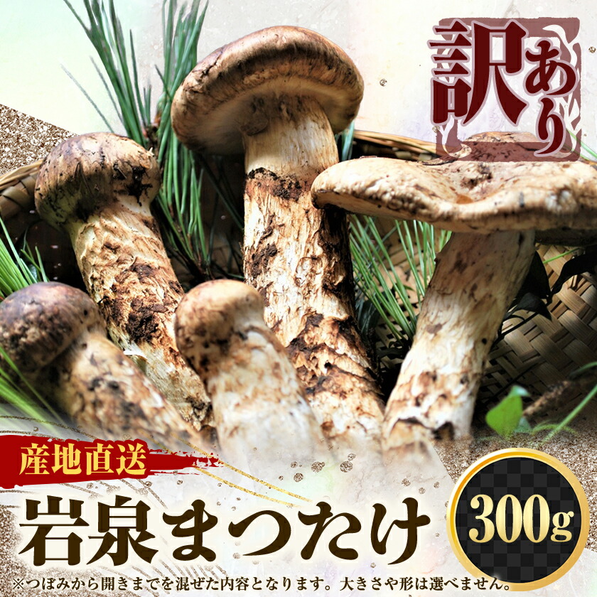 No.18※個人採り天然松茸※長野県伊那市産まつたけ大2