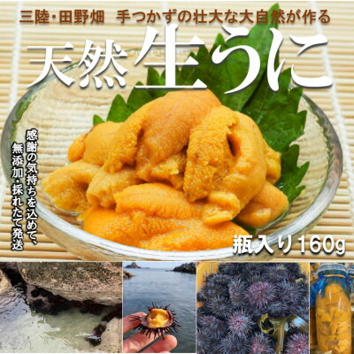 【ふるさと納税】岩手・三陸　小さな村のきれいな海で育った　新鮮　瓶入り生うに(160g)【令和7年6月から発送】　　【配送不可地域：離島・沖縄県・九州】【1308103】