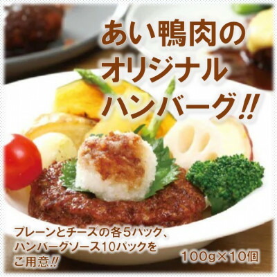 【ふるさと納税】田野畑村産鴨ハンバーグセット(ソース付)　100g×10個【配送不可地域：離島】【1507309】