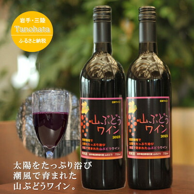 【ふるさと納税】山ぶどうワイン　甘口　750ML　2本【1582759】｜岩手県田野畑村