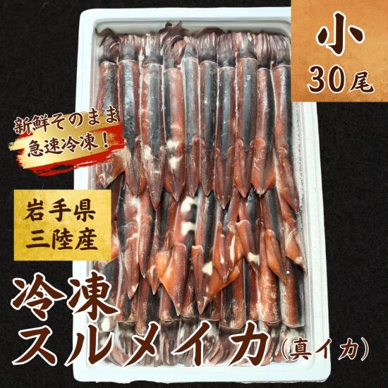 【ふるさと納税】 イカ 冷凍スルメイカ 小サイズ 1箱30尾入 鮮度抜群！いか 冷凍 海鮮 海の幸 魚介 新鮮 鮮度抜群 刺身 フライ 煮物 姿焼き げそ ゲソ いかめし イカの塩辛 イカ焼き 焼き物 天ぷら