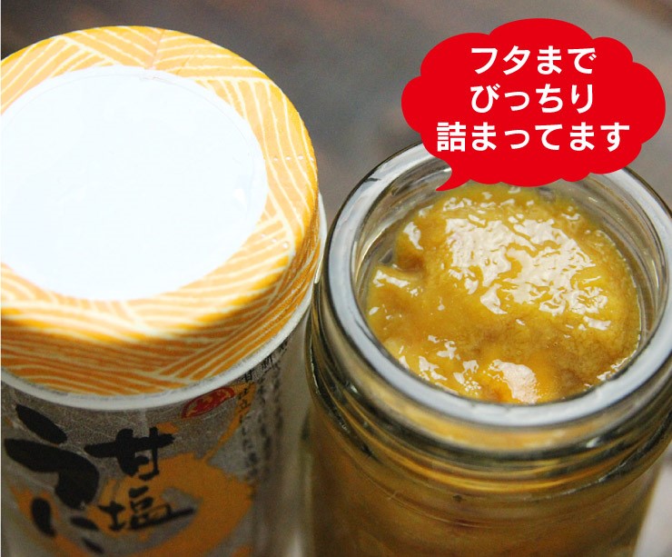 【ふるさと納税】三陸産甘塩うに60g1本【旬の時期の生うにを惜しげもなく使った逸品】ミョウバン不使用塩のみ岩手県産国産