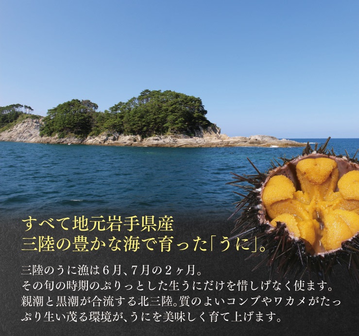 【ふるさと納税】三陸産甘塩うに60g1本【旬の時期の生うにを惜しげもなく使った逸品】ミョウバン不使用塩のみ岩手県産国産