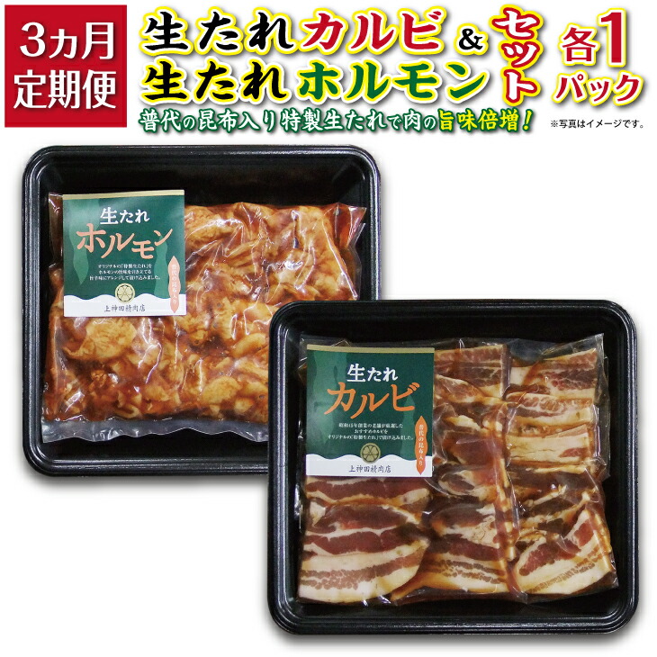 生たれカルビ&生たれホルモン(各1パック) 焼肉用 3カ月連続お届け
