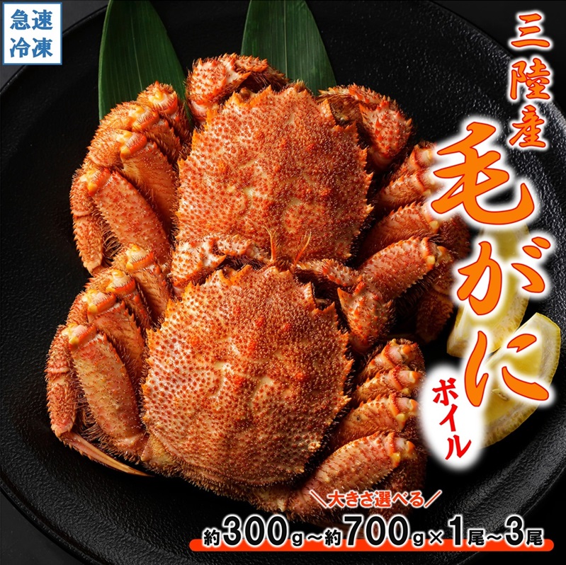 【ふるさと納税】 かに ボイル 北三陸産 冷凍ボイル 毛ガニ 【選べる大きさ 約350g～約700g&times;1尾～3尾】かに カニ 蟹 ガニ がに 毛蟹 かにみそ 魚介類 かに 鍋 kani｜岩手県普代村