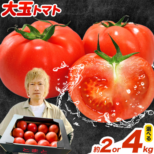 【ふるさと納税】【2025年先行受付】 トマト 大玉トマト 新鮮 選べる2kg or 4kg 9~24玉 松澤農園《2025年7月上旬-10月下旬頃出荷》 岩手県 九戸村 野菜  岩手県産 国産 お取り寄せ 送料無料 大きい リコピン 美容 甘い 健康