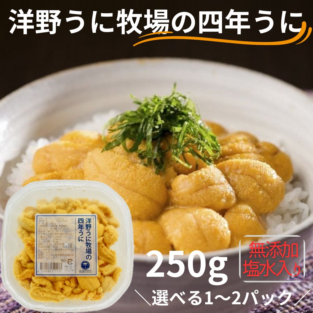 【ふるさと納税】洋野うに牧場の四年うに 250ｇ 選べる1パック,2パック【ミョウバン不使用・無添加】北三陸 塩水うに 天然 雲丹 キタムラサキウニ 生うに 鮮度抜群