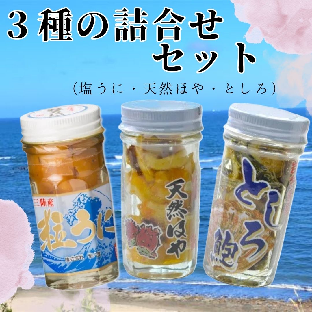 【ふるさと納税】３種の詰め合わせセット(塩うに・天然ほや・としろ)