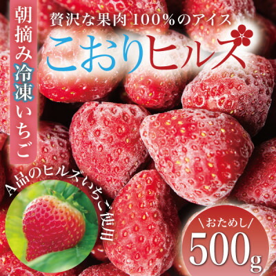 【ふるさと納税】完熟朝摘み冷凍いちご『こおりヒルズ』500g【ヘタなし・急速冷凍】宮城のいちご農家から直送【配送不可地域：離島】【1497567】 7,100円