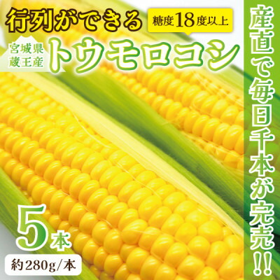 【ふるさと納税】【蔵王の産直で毎日1000本完売】生でも甘い♪行列ができるトウモロコシ『夢みらい』5本 数量限定【配送不可地域：離島】【1500613】