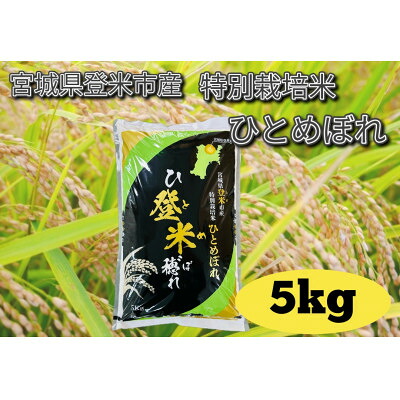 【ふるさと納税】【令和7年産】宮城県登米市産　特別栽培米ひとめぼれ 5kg【1557597】