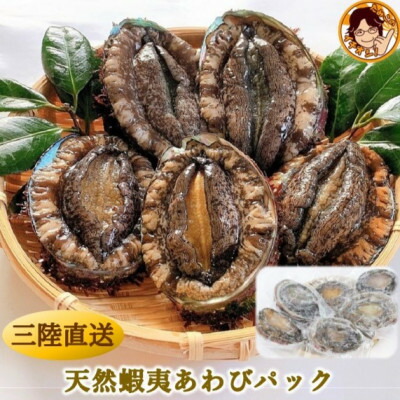 【ふるさと納税】三陸産　天然蝦夷あわび(冷凍)約1kg　6～8個(捌き方・レシピ付き)【配送不可地域：離島】【1589193】