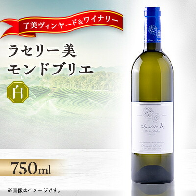 【ふるさと納税】ラセリー美 モンドブリエ 750ml×1本【1599864】