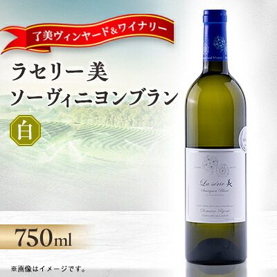 【ふるさと納税】ラセリー美 ソーヴィニヨンブラン 750ml×1本【1599866】