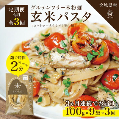 【ふるさと納税】【毎月定期便】グルテンフリー玄米パスタ9食(宮城県産)小麦粉不使用の無添加玄米麺 米粉麺全3回【4086080】｜宮城県