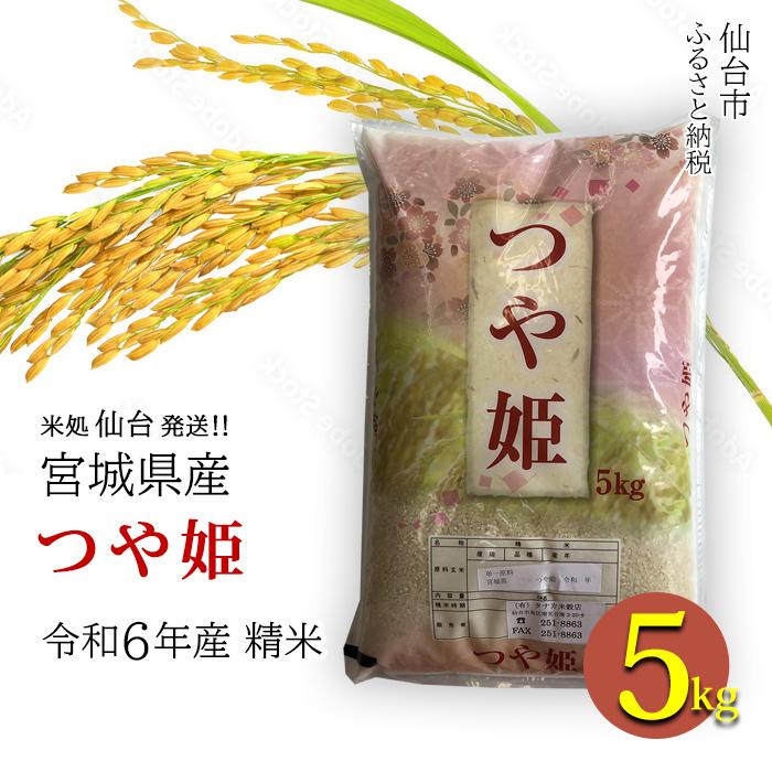 【ふるさと納税】【宮城県産 つや姫】令和6年度産 精米 5kg（5kg×1袋） | お米 こめ 白米 食品 人気 おすすめ 送料無料