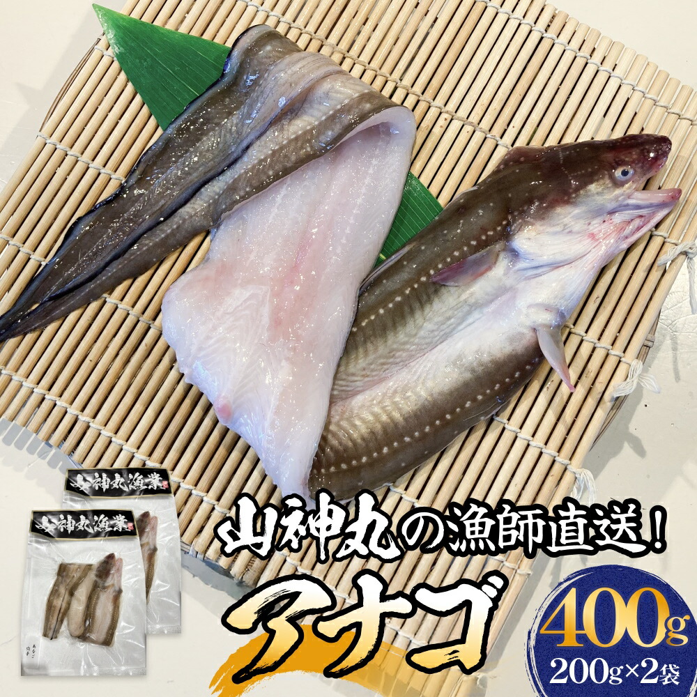 【ふるさと納税】アナゴ 2パック 穴子 あなご 魚介 魚介類 海鮮 下処理済 直送 新鮮 冷凍 焼き物 煮付け フライ