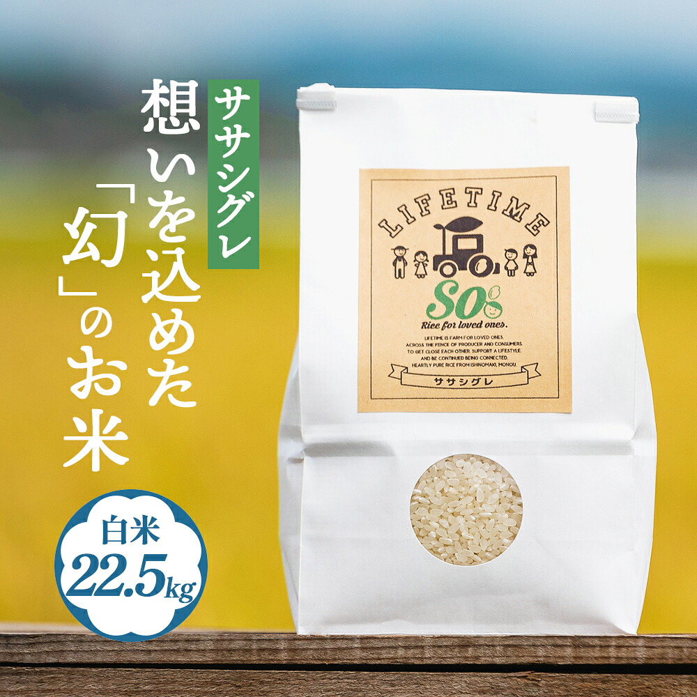 【ふるさと納税】 米 ササシグレ 白米 22.5kg 農薬不使用 化学肥料不使用 ささしぐれ お米 コメ こめ おこめ ご飯 ごはん 希少 優しい 甘み|宮城県石巻市