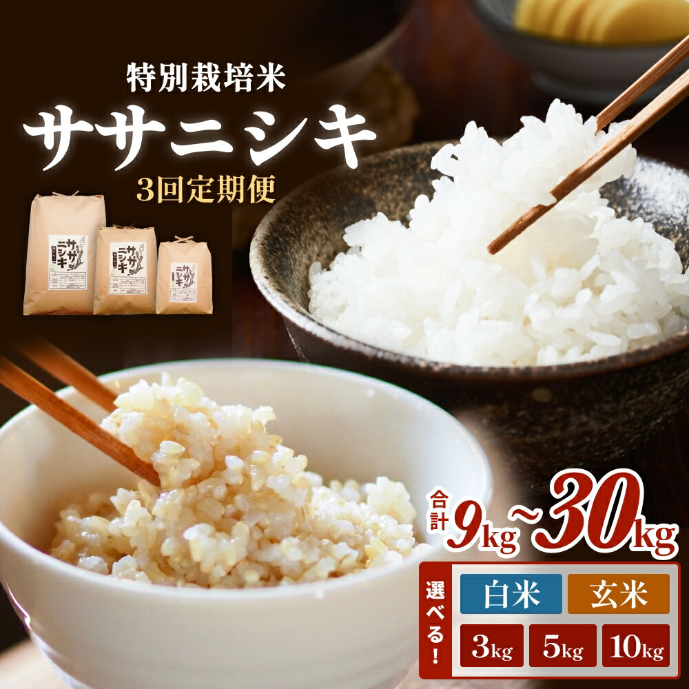 【ふるさと納税】 令和7年産 定期便 全3回 ササニシキ 特別栽培米 合計9kg～30kg 小分け 3kg 5kg 10kg 選べる 白米 玄米 お米 精米 ささにしき 家庭用 栽培期間中 農薬不使用 化学肥料不使用 宮城 石巻 宮城県 石巻市