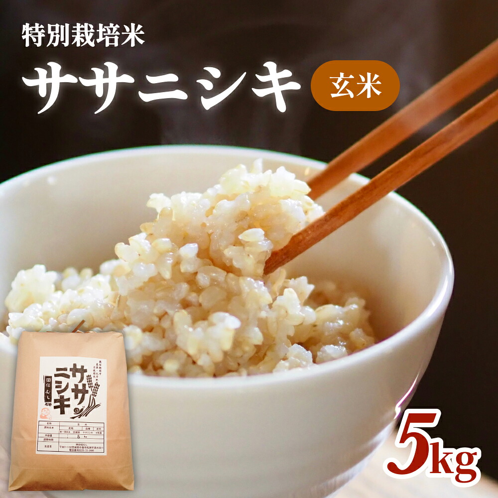 【ふるさと納税】令和7年産 特別栽培米 ササニシキ 玄米 5kg お米 5キロ 玄米食 ご飯 ごはん 主食 家庭用 栽培期間中 農薬不使用 化学肥料不使用 ブランド米 ささにしき あっさり 食感 甘味 宮城県産 宮城県 石巻 石巻市 送料無料｜宮城県石巻市