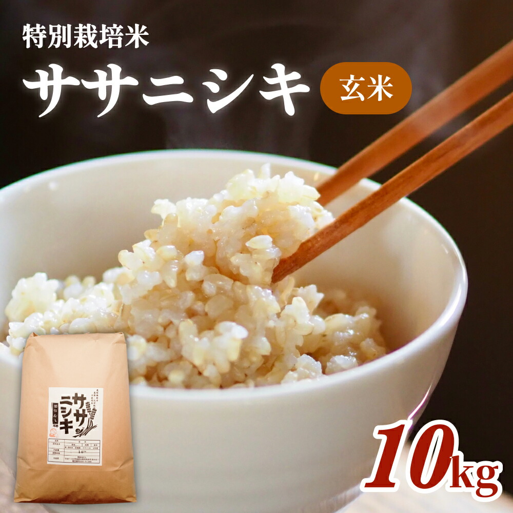 【ふるさと納税】 令和7年産 特別栽培米 ササニシキ 玄米 10kg お米 10キロ 玄米食 ご飯 ごはん 主食 家庭用 栽培期間中 農薬不使用 化学肥料不使用 ブランド米 ささにしき あっさり 食感 甘味 宮城県産 宮城県 石巻 石巻市 送料無料