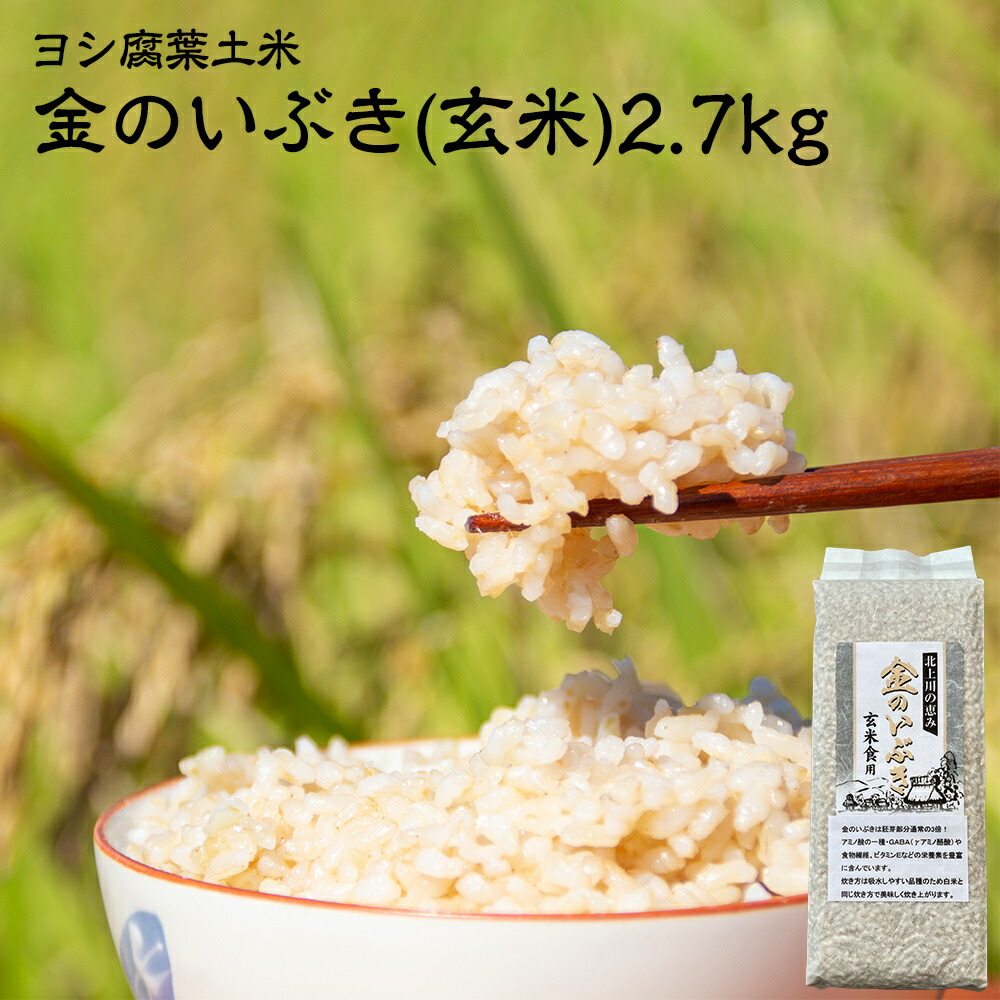 【ふるさと納税】 米 令和7年 産 玄米 金のいぶき 2.7kg ( 900g &times; 3 ) 宮城県産 ヨシ腐葉土米 真空パック 小分け 少量 お試し プチプチ食感 真空 家庭用 美味しい お米 ごはん 玄米食 健康食 食物繊維 ご飯 主食 おにぎり おかゆ 炊飯器で簡単 宮城県 石巻 石巻市 送料無料｜宮城県石巻市