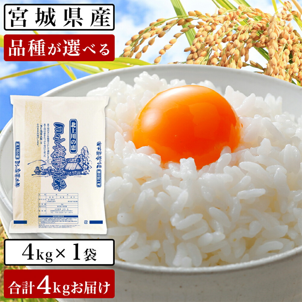 【ふるさと納税】 令和7年産 ヨシ腐葉土米 精米4kg（4kg×1袋）ササニシキ つや姫 コシヒカリ 品種が選べる 石巻市