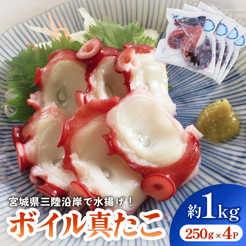 【ふるさと納税】真たこ ボイル  約1kg 蛸 たこ タコ ボイル済み 冷凍 小分け CAS凍結 海鮮 魚介類