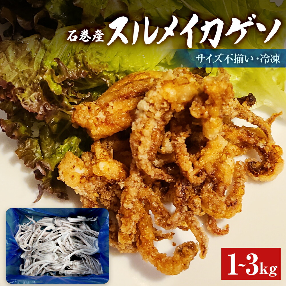 【ふるさと納税】<内容量が選べる> 石巻市産 スルメイカ ゲソ 1kg / 3kg 冷凍 国産 スルメイカ いか 下足 イカ イカゲソ ゲソのみ 加熱用 おつまみ 魚介類 焼イカ バーベキュー BBQ 烏賊 炒め物 フライ ゲソ天 唐揚げ おかず バラ バラ冷凍 いか 宮城県 石巻市 14日以内|宮城県石巻市