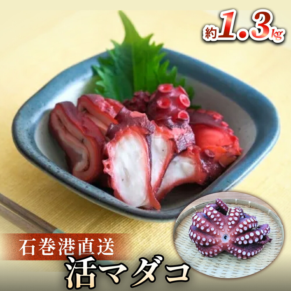 【ふるさと納税】マダコ 煮たこ 石巻港 直送 たこ タコ ボイル 活マダコ 丸ごと おかず おつまみ