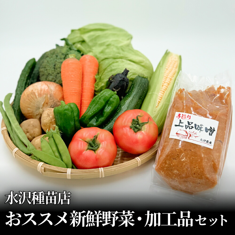 【ふるさと納税】野菜 水沢種苗店おススメ新鮮野菜・加工品セット 宮城県 石巻市 おやさい やさい お野菜 せっと 新鮮お野菜 旬 お届け