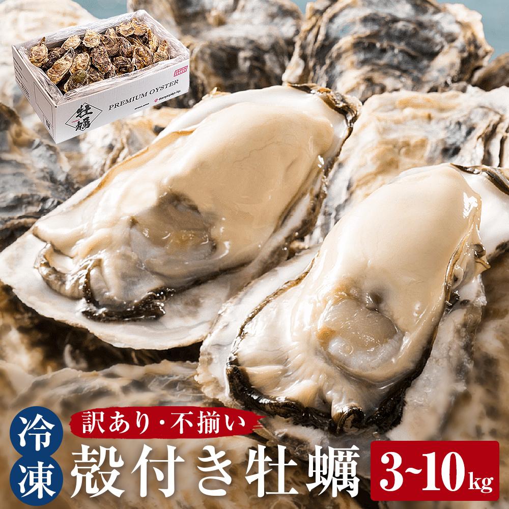 【ふるさと納税】牡蠣 〈 訳あり 〉冷凍 殻付き 牡蠣 3kg 5kg 10kg 選べる内容量 三陸産 不揃い カキ かき 加熱用 カンカン焼き ガンガン焼き 蒸し牡蠣 カキ 真牡蠣 BBQ 浜焼き バーベキュー 新鮮 海鮮 魚介 国産 取り寄せ グルメ 急速冷凍 宮城 石巻 宮城県 石巻市 送料無料