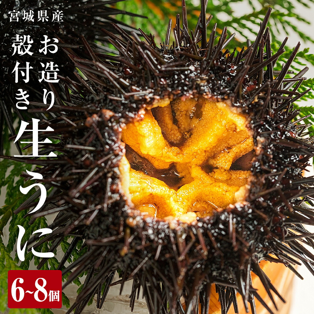 【ふるさと納税】〈先行予約〉＊6月20日以降順次発送開始予定 生うに  宮城県産 殻付き お造り 生ウニ 6個 または 8個  冷蔵 ミョウバン不使用 刺身 雲丹 殻付き 宮城県 石巻市 ウニ なまうに ムラサキウニ 厳選 三陸 順次発送 旬 新鮮 期間限定