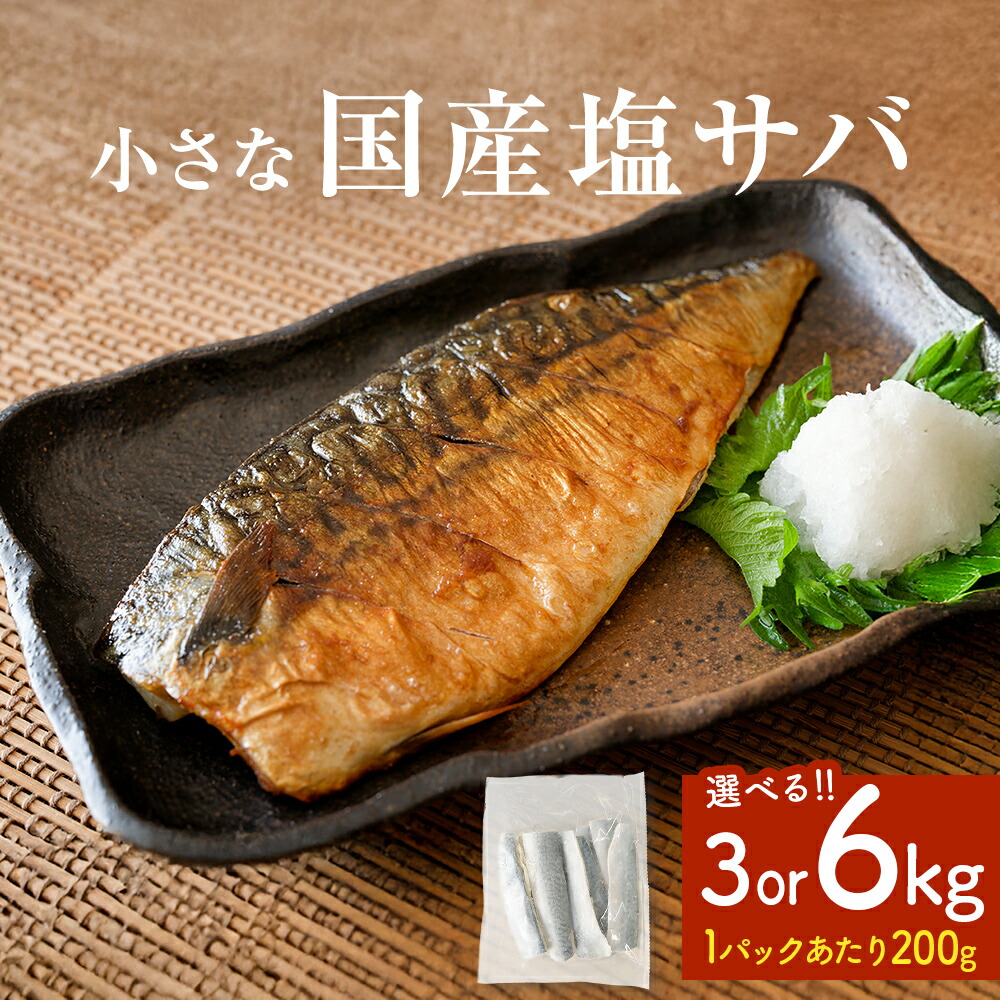 【ふるさと納税】《内容量が選べる》国産 塩サバ 3kg or 6kg 冷凍サバ 国産サバ サバフィレ 鯖 青魚 塩さば 真サバ 切り身 ご家庭用 焼き魚 焼魚 おかず お弁当 惣菜 和風惣菜 焼くだけ 簡単調理 サバ フィレ 鯖フィレ さば フィーレ 切身 宮城 宮城県 石巻 石巻市 14日以内