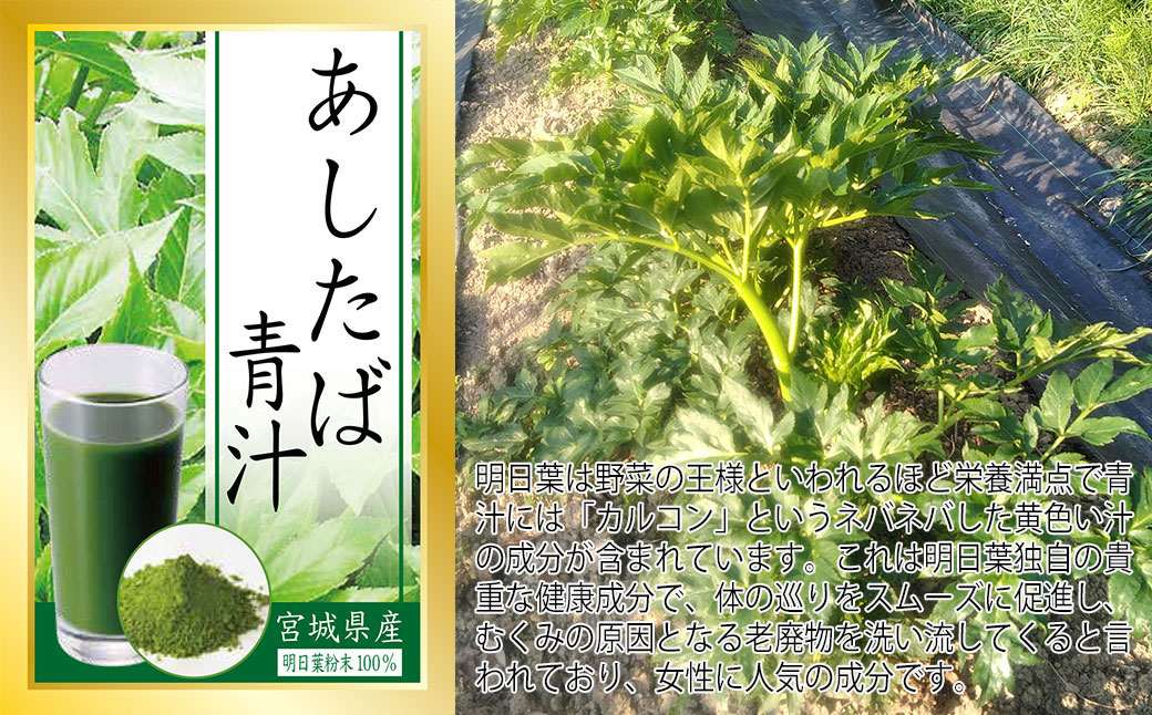 楽天市場 ふるさと納税 ひげにんにく 25本 とあしたば青汁パウダー 100g セット 宮城県石巻市