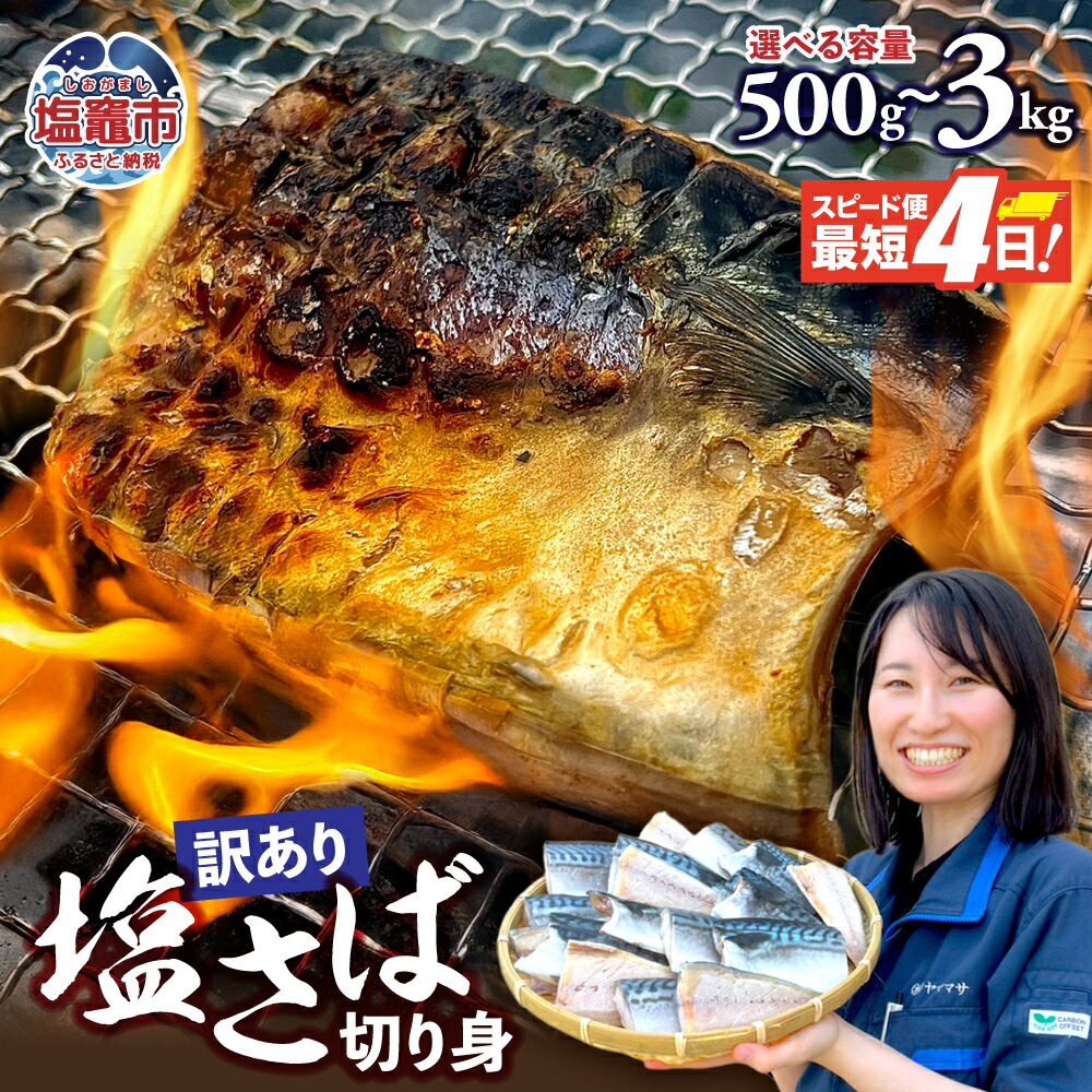 【ふるさと納税】訳あり 無添加 トロ 塩さば 切り身 500g～3kg 傷 キズ 鯖 さば 冷凍 食品 小分け 大容量 人気 魚 魚介 魚貝 海鮮 弁当 惣菜 お取り寄せ グルメ 送料無料 不揃い 規格外 ふるさと納税鯖 SDGs応援品 食品添加物不使用 塩竈市 塩釜 ヤママサ｜宮城県塩竈市